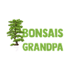 Bonsai Tree Grandpa