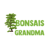 Bonsai Tree Grandma