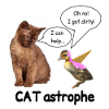 Catastrophe