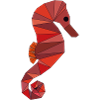Seahorse geometric