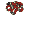Milk Snake Whisperer