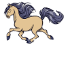 Lustig Pony Statement Islandpferde Pferde
