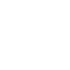 Evolution Vom Affen zum Surfer