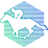 Équitation Courses équestres masculines