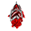 The moth