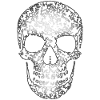 Skull Structure R6Z