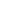 Digital Rebel White