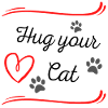 Hug your cat