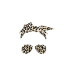 My body My decision