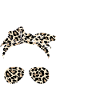My body My decision