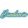 Bündnerin Neon Script