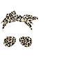 My body My decision
