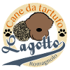 Canne 9 2