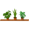 Pot Plants Shelf