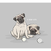 Pug