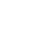 20 number crown
