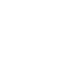 21 Number crown