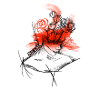 The Head