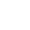 Newfoundland "Black Edition"