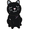 Black Cat