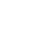 Schildmaid Wikinger Kriegerin