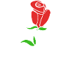 Tulip Résumé Cadeau d’artiste