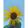IMG 20220719 173246