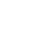 20 number crown