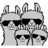 Lama Family Parents Child