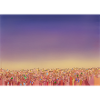 sunset city