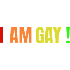 I AM GAY !