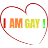 I AM GAY !