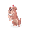 Hug Dealer Dog