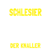 Schlesier Schlesien