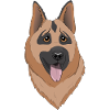 German Sheppherd