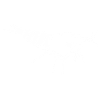 Garnele
