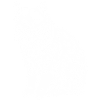 Türkisch Van Katze