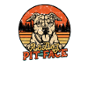Resting pit face - pitbull