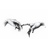 Creation of Gotka