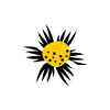 Flower power
