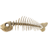 Fisch Gräten - Fish Skeleton Fish bone