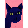 Cat at Night Retro