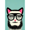 Chat de Havana Retro