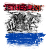 Netherland Windmill Vista