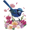 splendid maluro