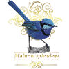 splendid maluro