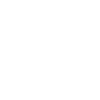 Aigles Falcons Hiboux Hawks