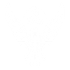 White eagle