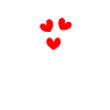 Dolphins in love