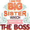 Big Sister Boss